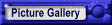 Picture Gallery