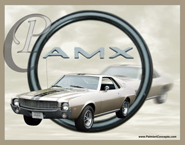 Palmieri Concepts AMC AMX